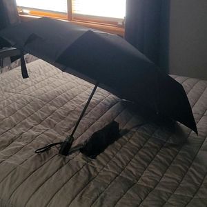 Coach umbrella black